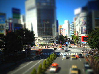 窓に向かい逆光で撮った場合