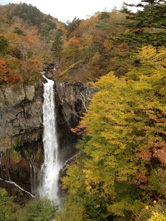 「曇りモード」で撮った場合