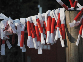 全体に太陽光が当たっている状態