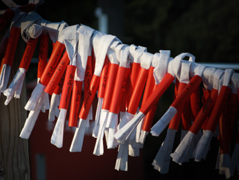 木漏れ日を活用して撮った写真。