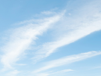 オートフォーカス