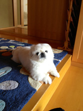 直接光が当たっている場合