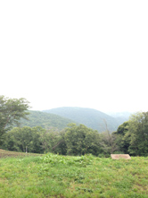 少し単調な印象