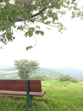 ベンチなどを入れるだけで、雰囲気のある写真に