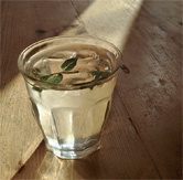 かたい光で撮った写真