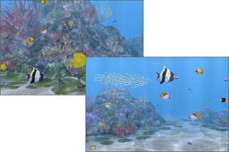 美しく雄大な海の中を堪能してくださいね。