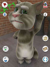 話しかけると繰り返したり、撫でると反応します。