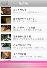 動画は毎日更新！