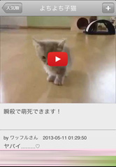 動画は毎日更新！