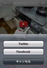かわいいねこ動画を観ていると気持ちがほっこりしますね！