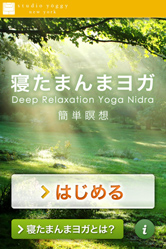 ヨガ初心者はまず解説を読みましょう。