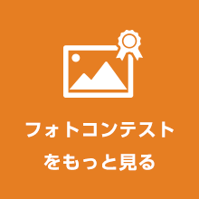 フォトコンテストをもっと見る
