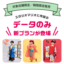 データのみ新プランが登場