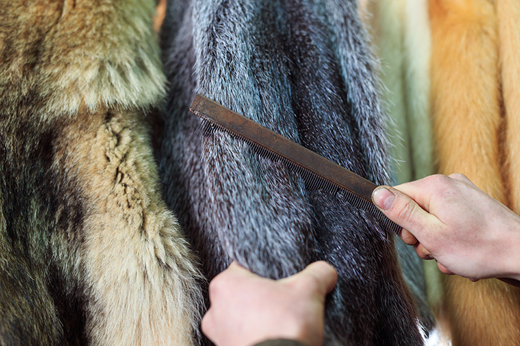 一生モノを美しく保つ「毛皮の手入れ」完全ガイド｜プロが教える自宅ケアと保管術