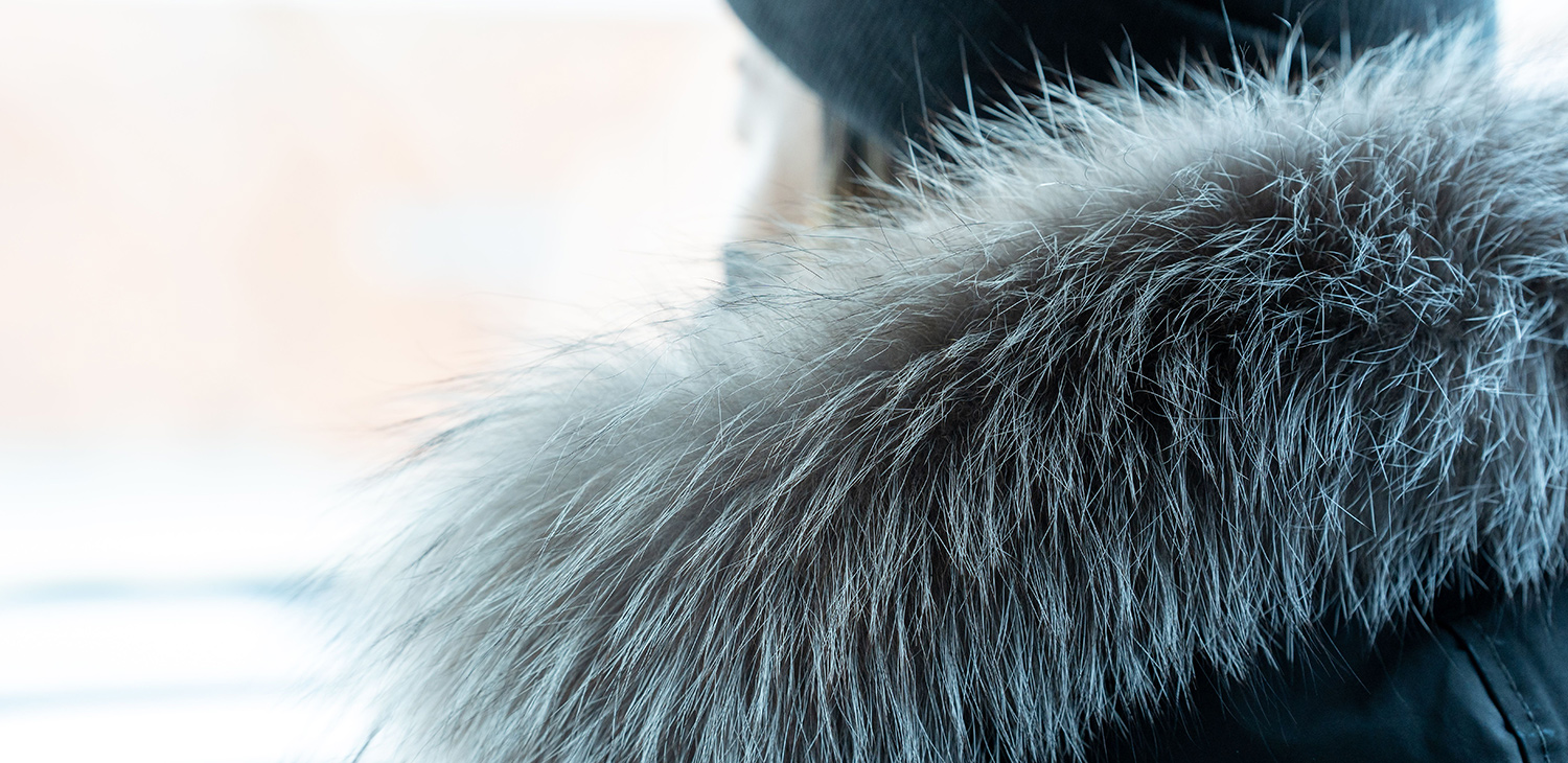 一生モノを美しく保つ「毛皮の手入れ」完全ガイド｜プロが教える自宅ケアと保管術