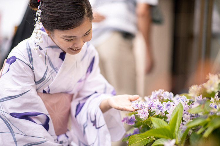 着物の柄と季節の一覧｜いつ何を着る？旬を先取りする粋な選び方