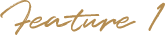 feature1