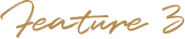 feature3