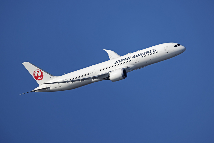 キヤノン  RF800mm・RF600mm比較レビュー|A☆50/Akira Igarashi