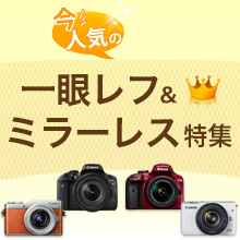 一眼レフ特集【ネットショップ】